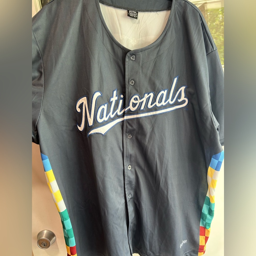 Warner Bros. Blue-Gray Harry Potter Quidditch Houses Washington Nationals Jersey